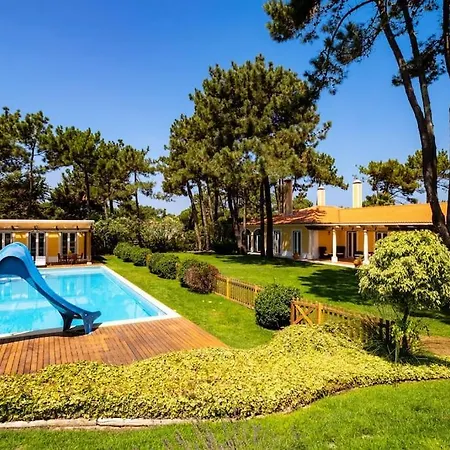 Luxurious Sprawling In Del Rey