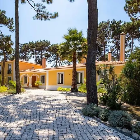 Luxurious Sprawling In Del Rey *