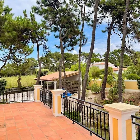 Luxurious Sprawling In Del Rey