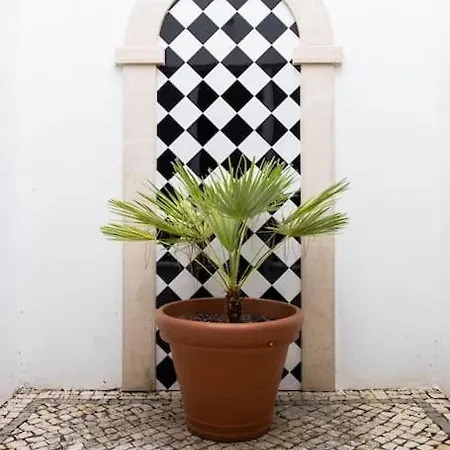 Luxurious Sprawling In Del Rey Villa *