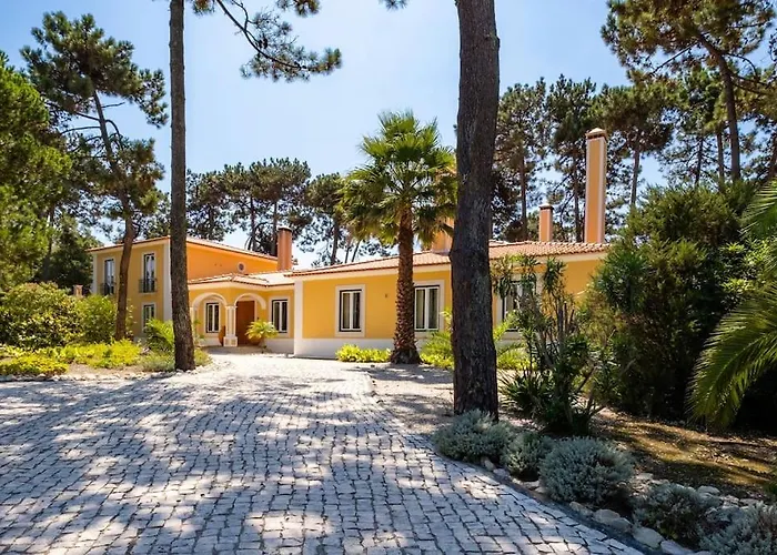 Luxurious Sprawling In Del Rey *