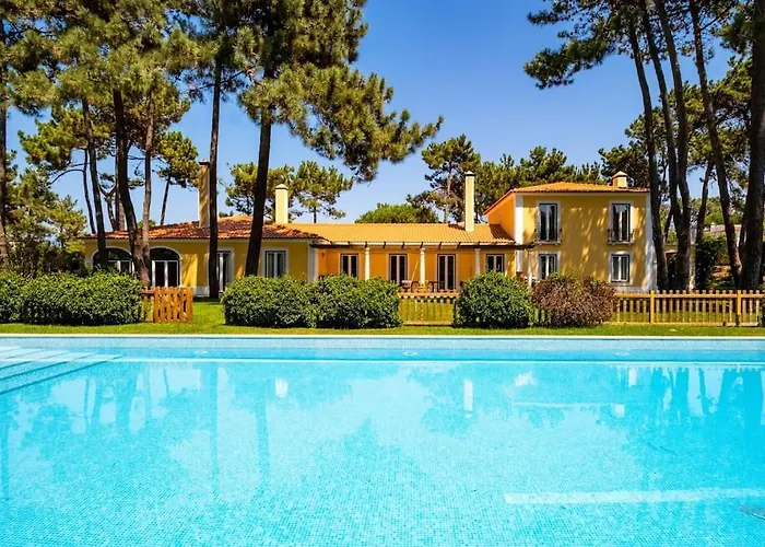 Luxurious Sprawling In Del Rey