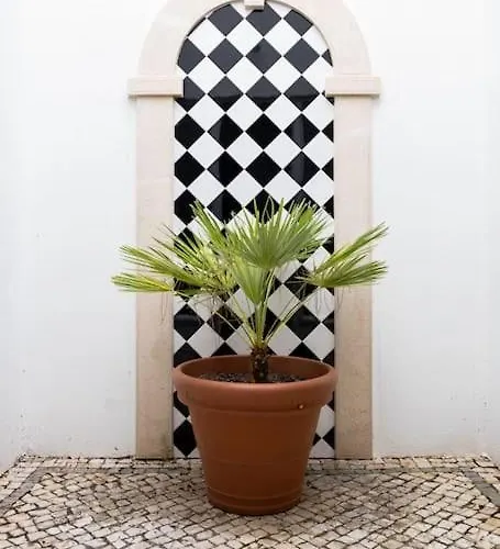 Luxurious Sprawling In Del Rey Villa *